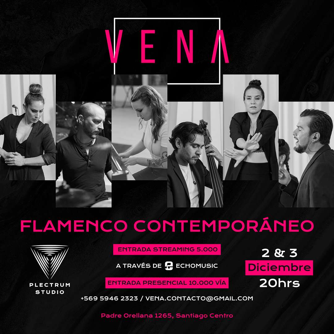 foto del evento VENA - Flamenco Contemporáneo